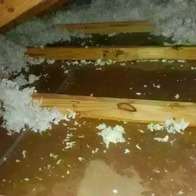 Attic Water Damage in Gaylord, MN