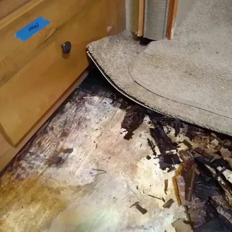 Wood Floor Water Damage in Gaylord, MN